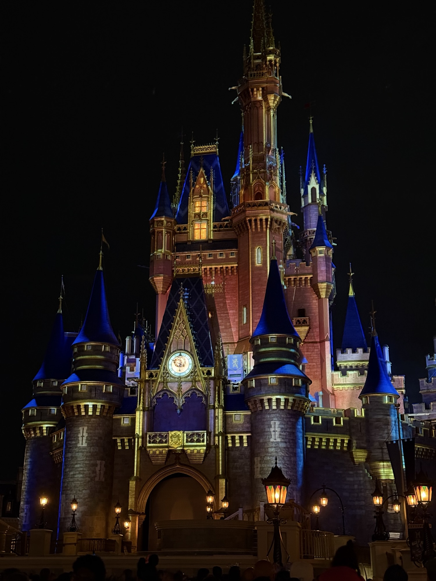 Disney Vacation!
