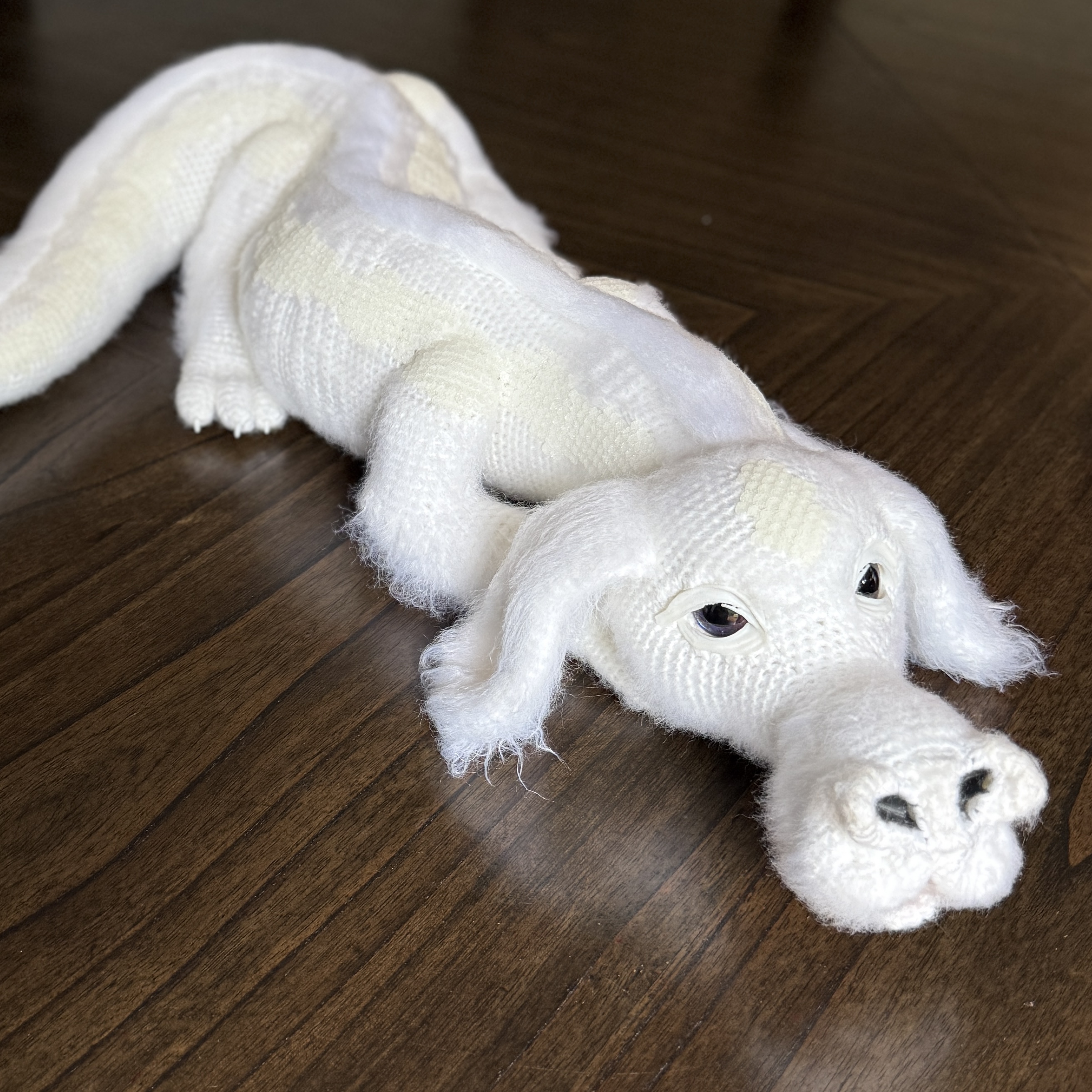 Falkor Has Arrived!